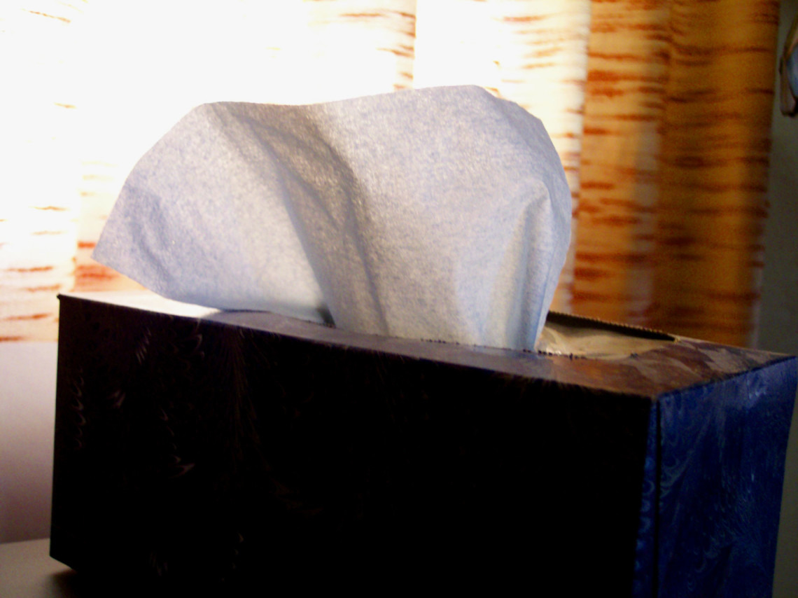 How Not to Get Sick on Holiday